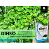 GINKO DIETARY SUPPLEMENT ( GINKGO BILOBA LEAVES DRY EXT. 40 MG/ ML ) ORAL DROPS 30 ML
